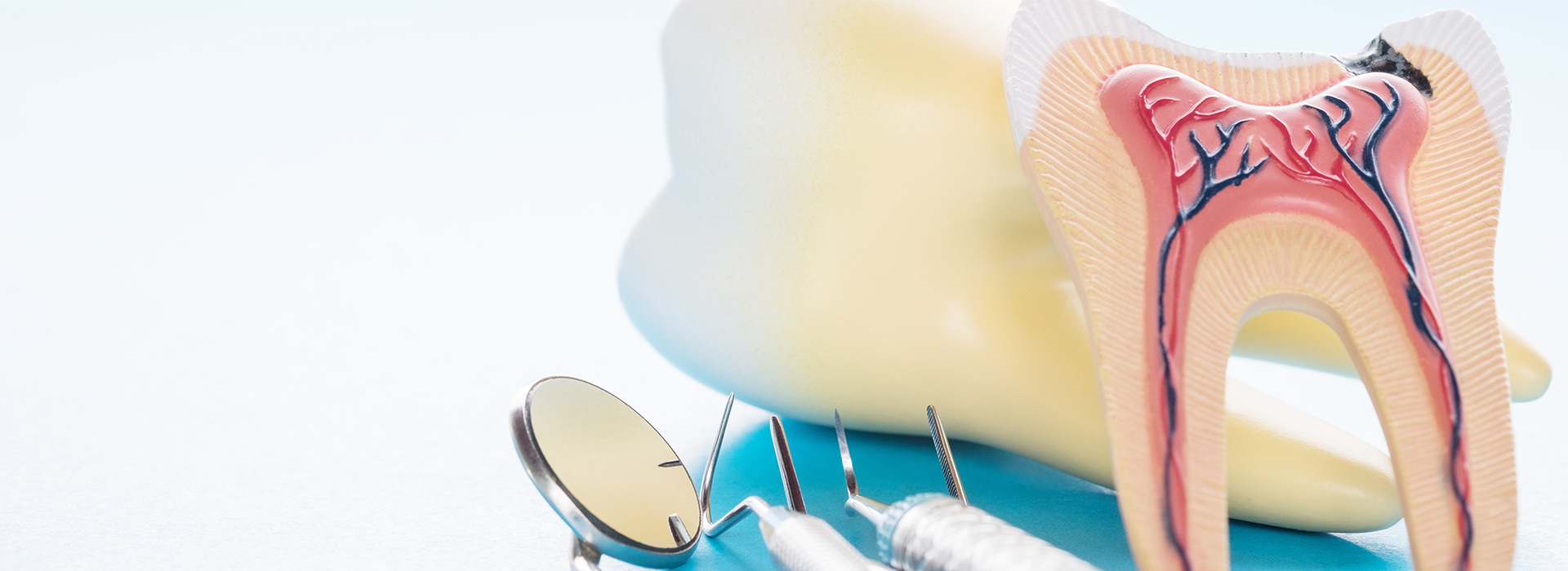 Gregory J. Schmitt, DMD | Dental Bridges, Implant Dentistry and All-on-6